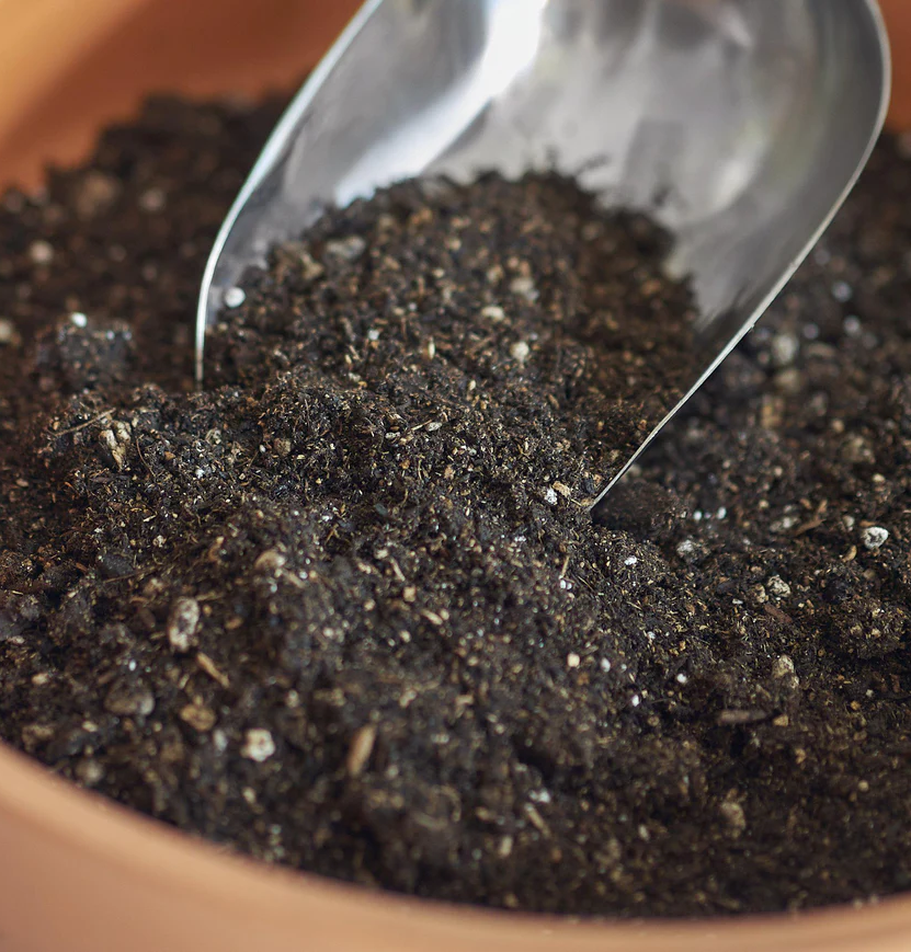Indoor Plant Potting Soil Puck
