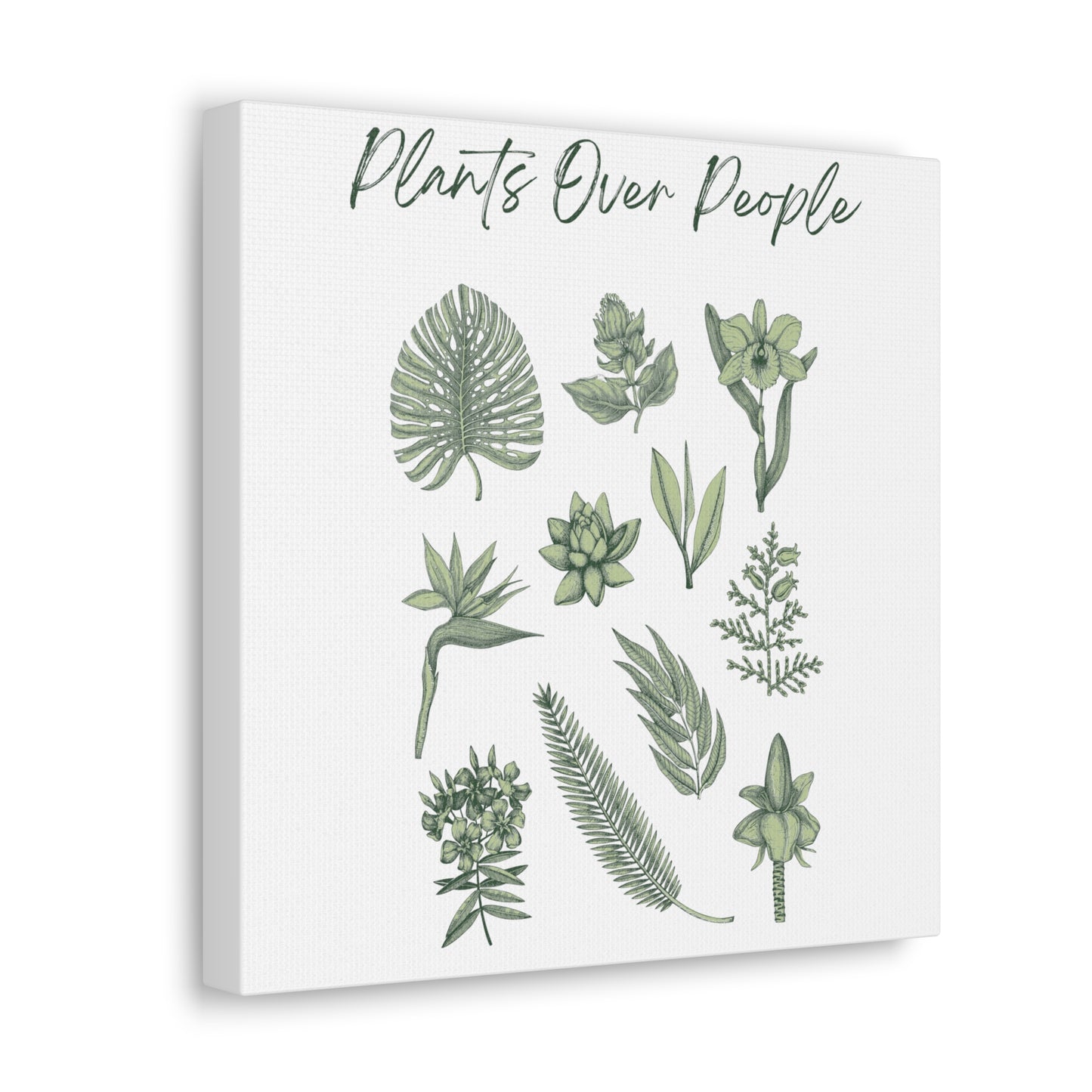 Plants Over People Canvas Gallery Wraps