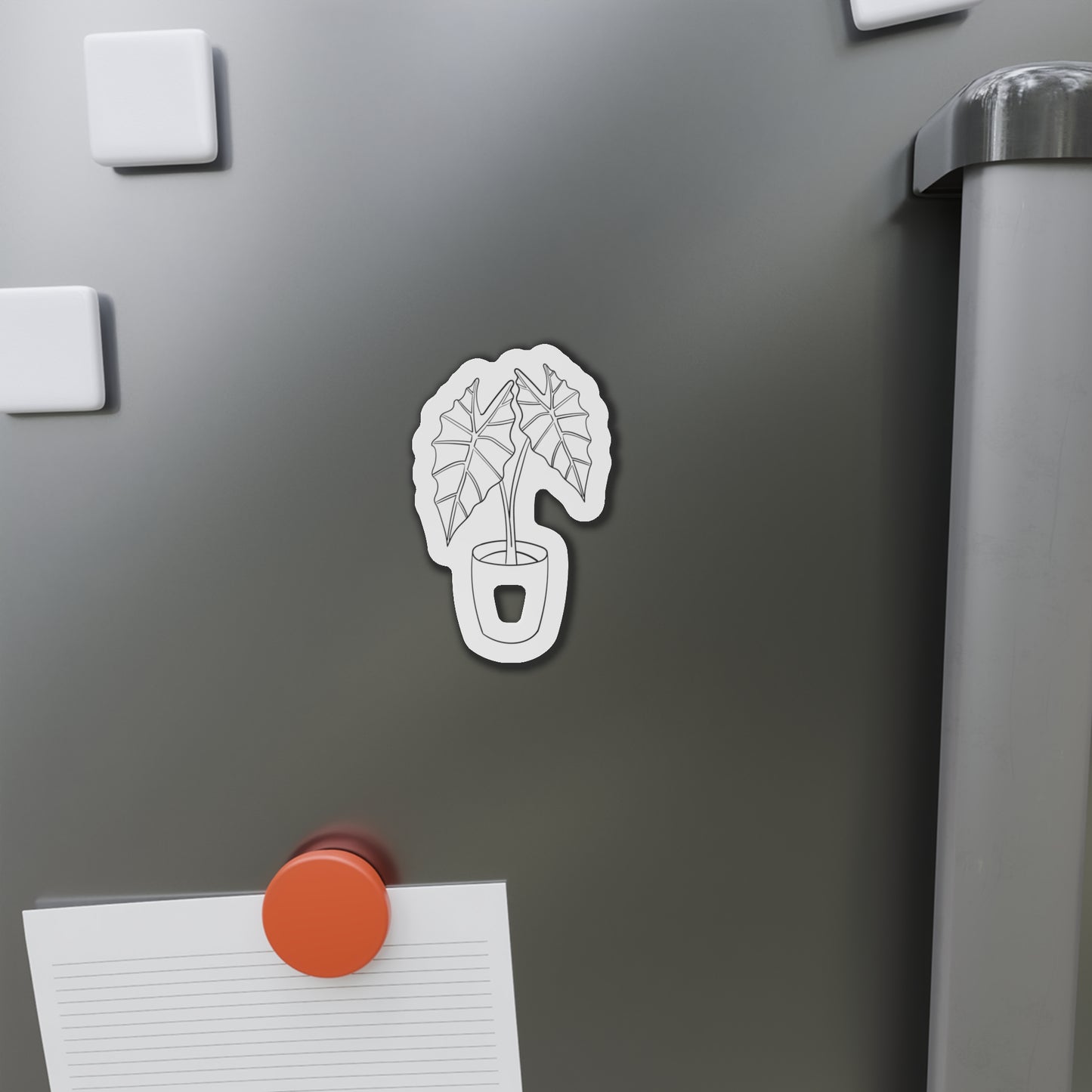 Alocasia Magnets