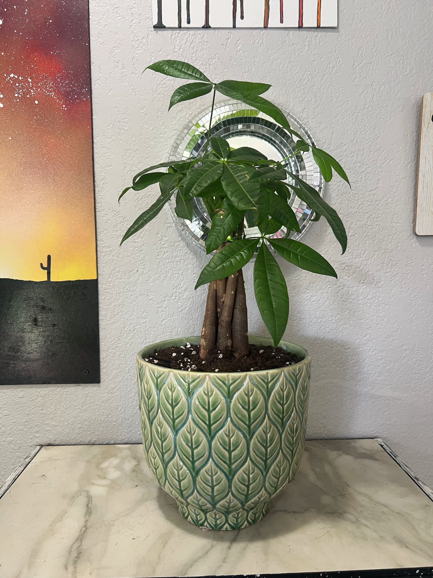 Braided Money Tree