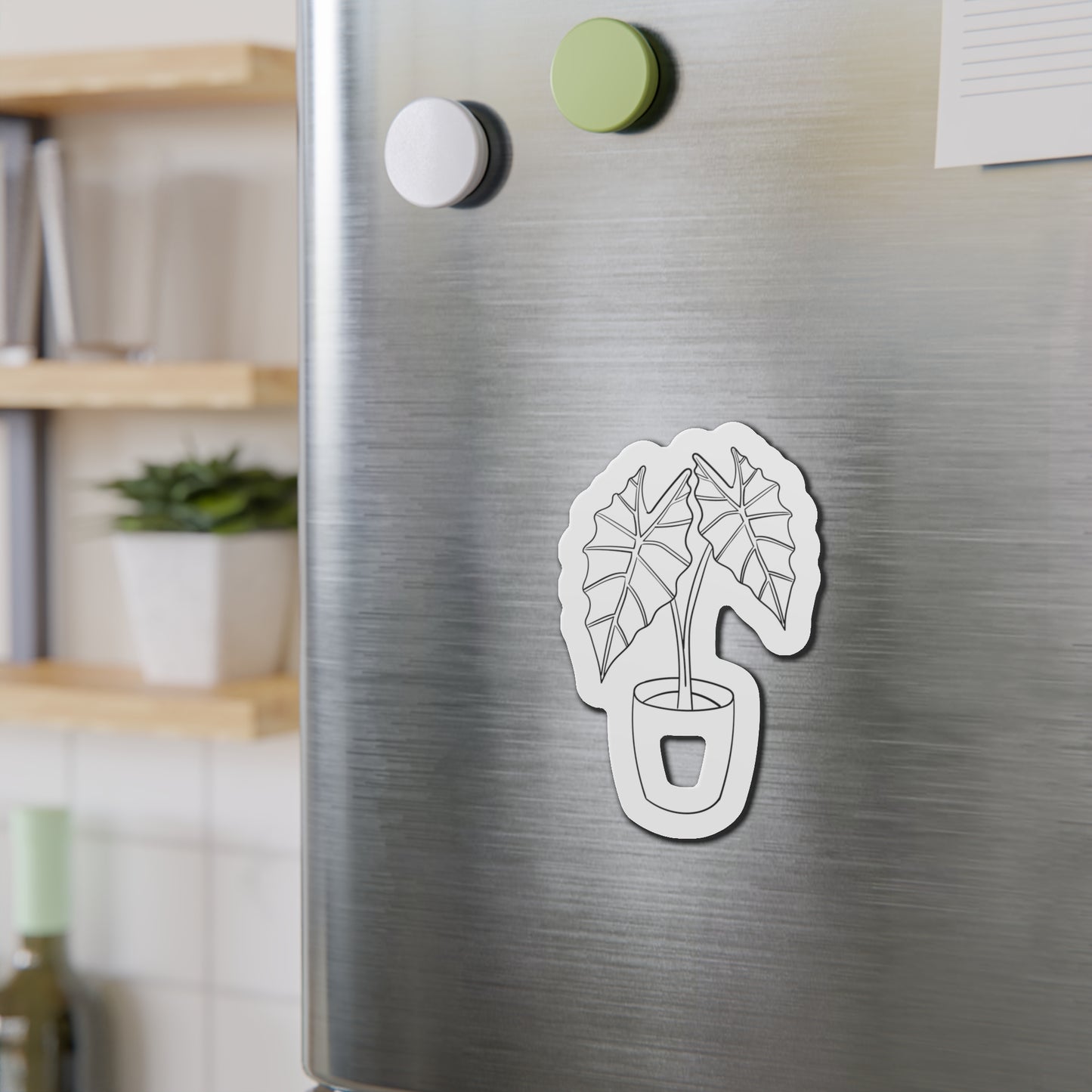 Alocasia Magnets