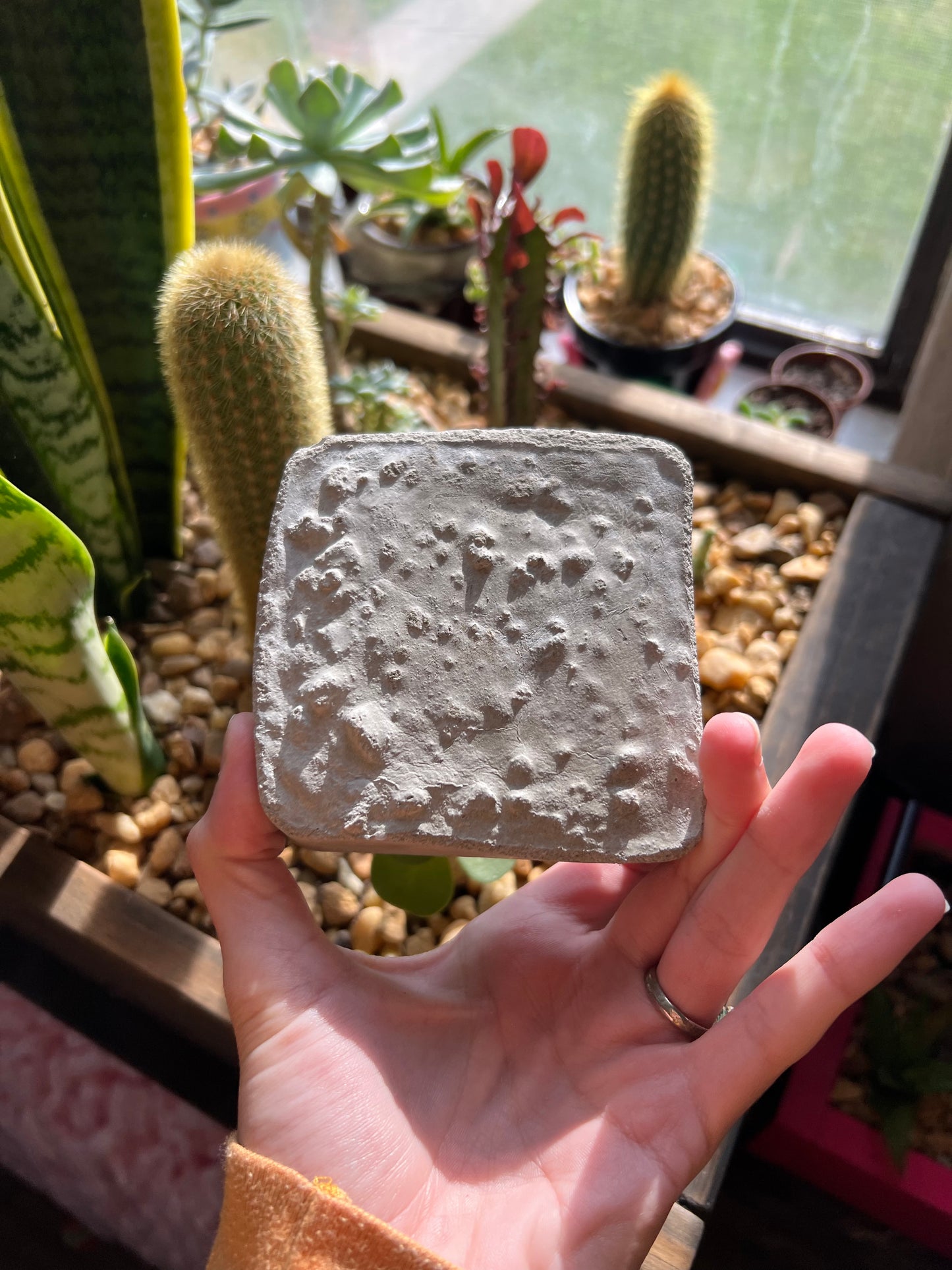 Handmade conch shell ashtray