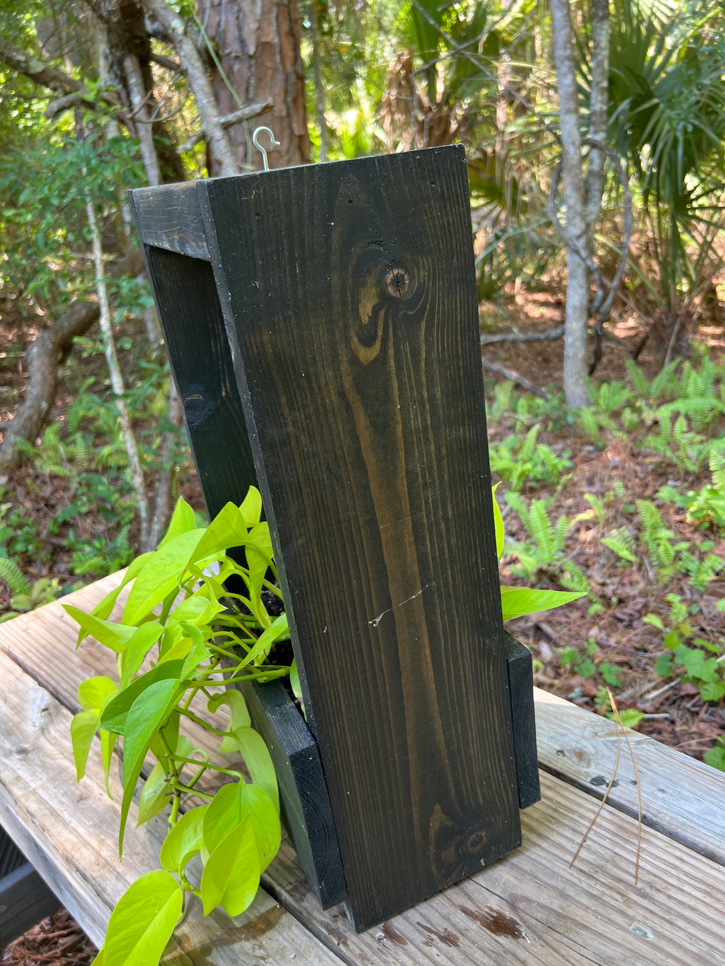 Handmade Hanging Planter. Neon Pothos