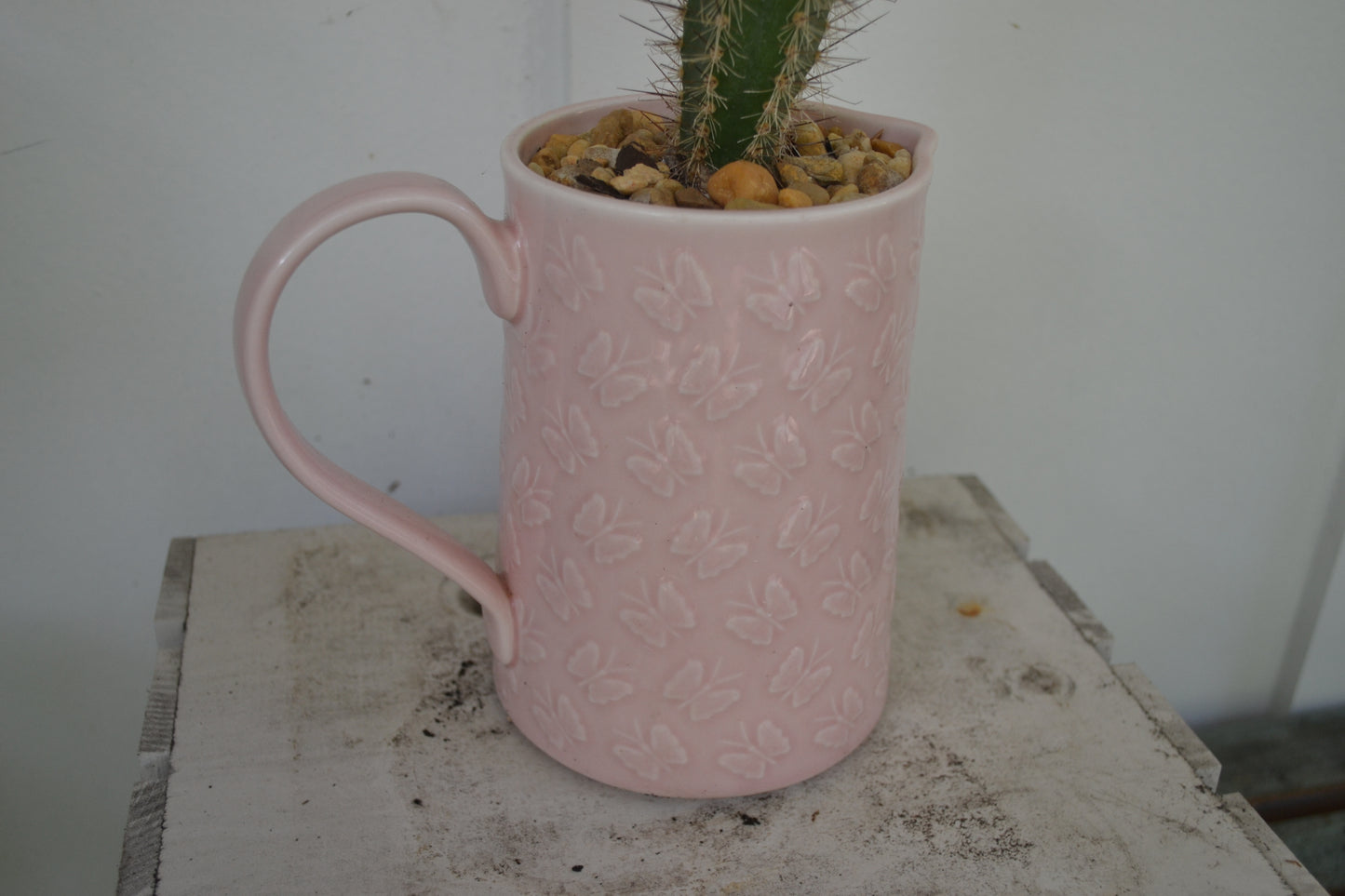 Organ pipe cactus in ceramic butterfly pitcher