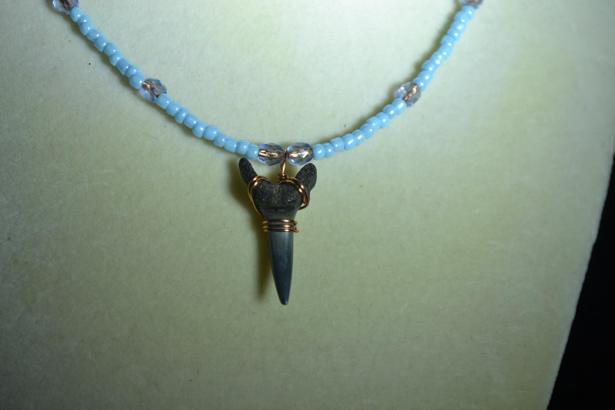 Wire wrapped sharks tooth beaded necklace. Silver and blue