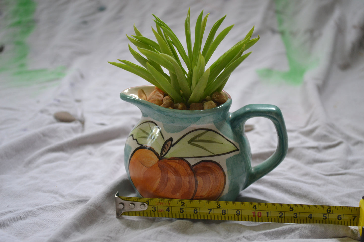 Mini Fruit Pitcher
