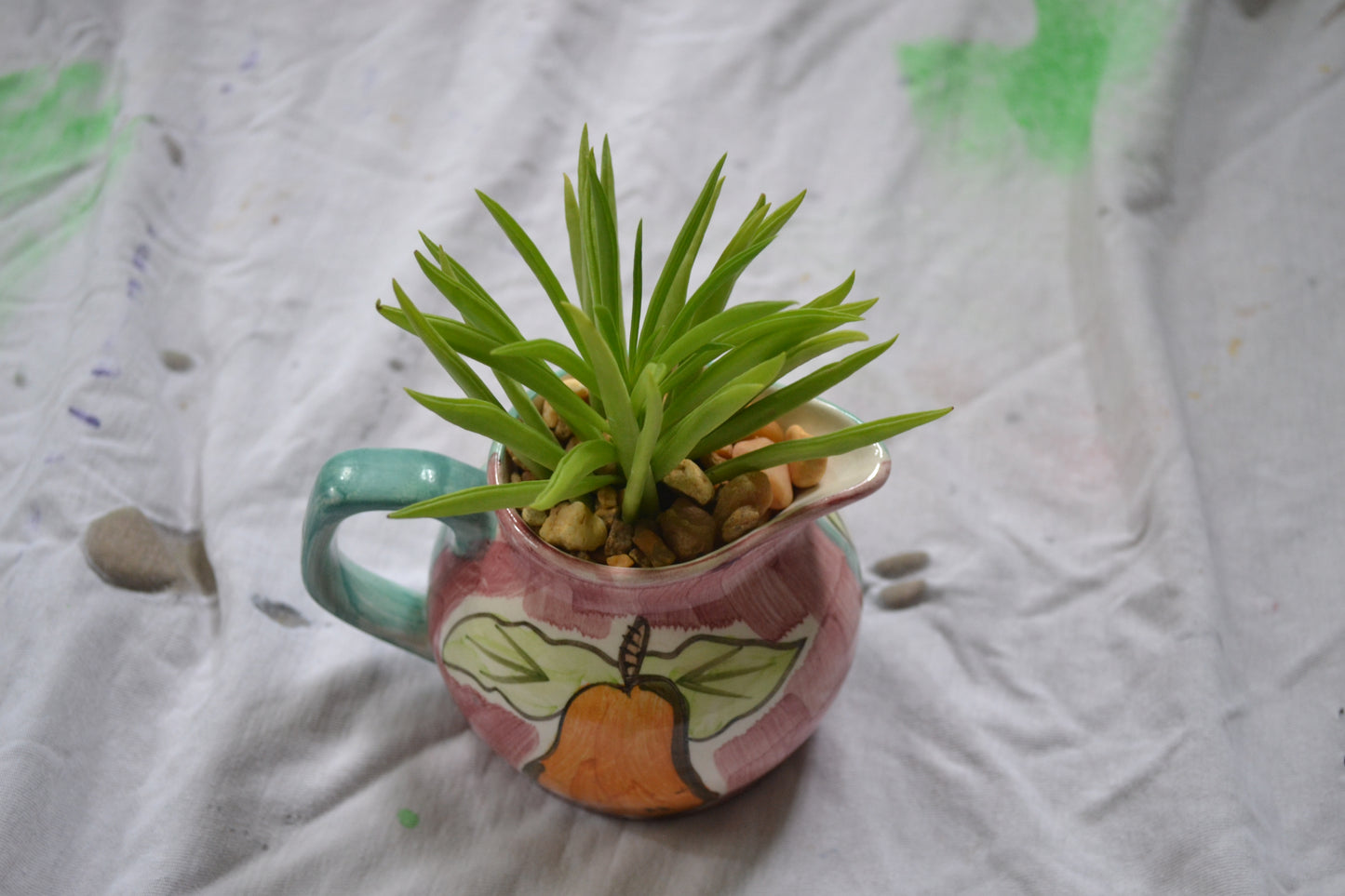 Mini Fruit Pitcher