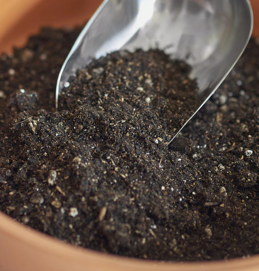 Indoor Plant Potting Soil Puck