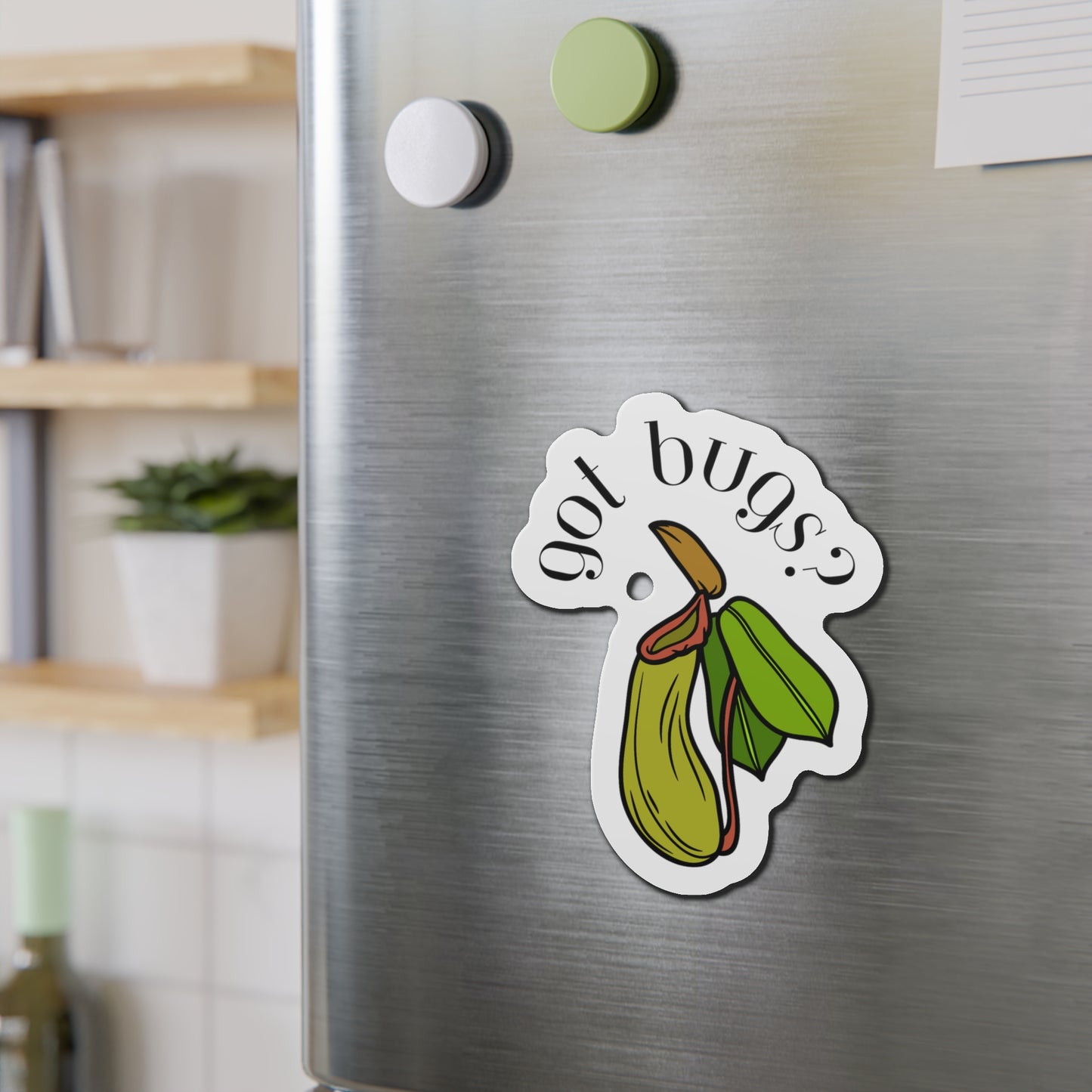 Got Bugs? Magnets