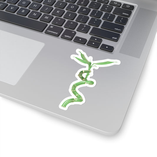 Bamboo Stickers