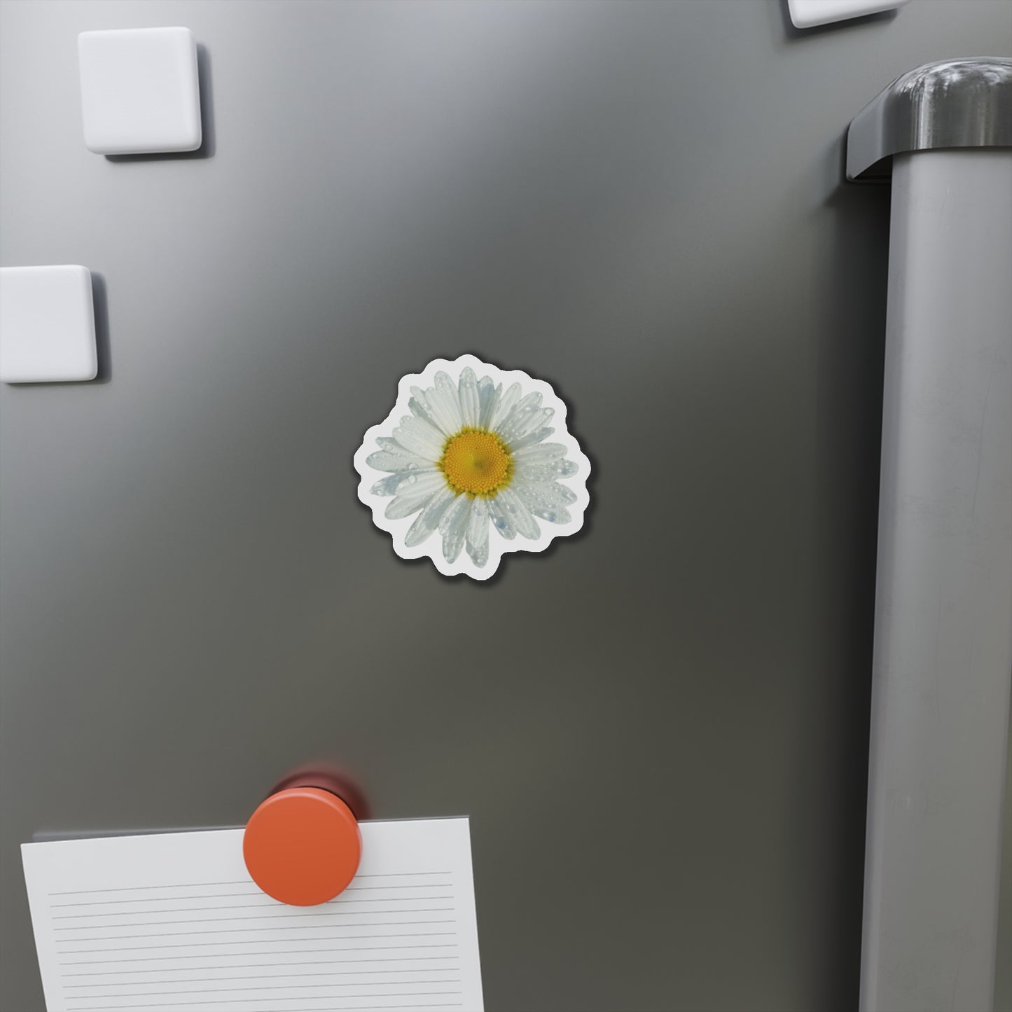 Daisy Magnets