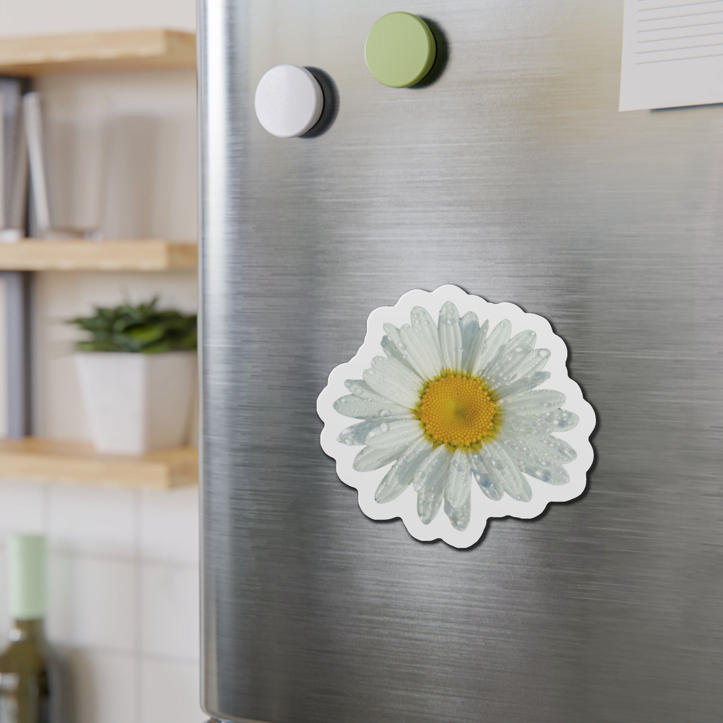 Daisy Magnets