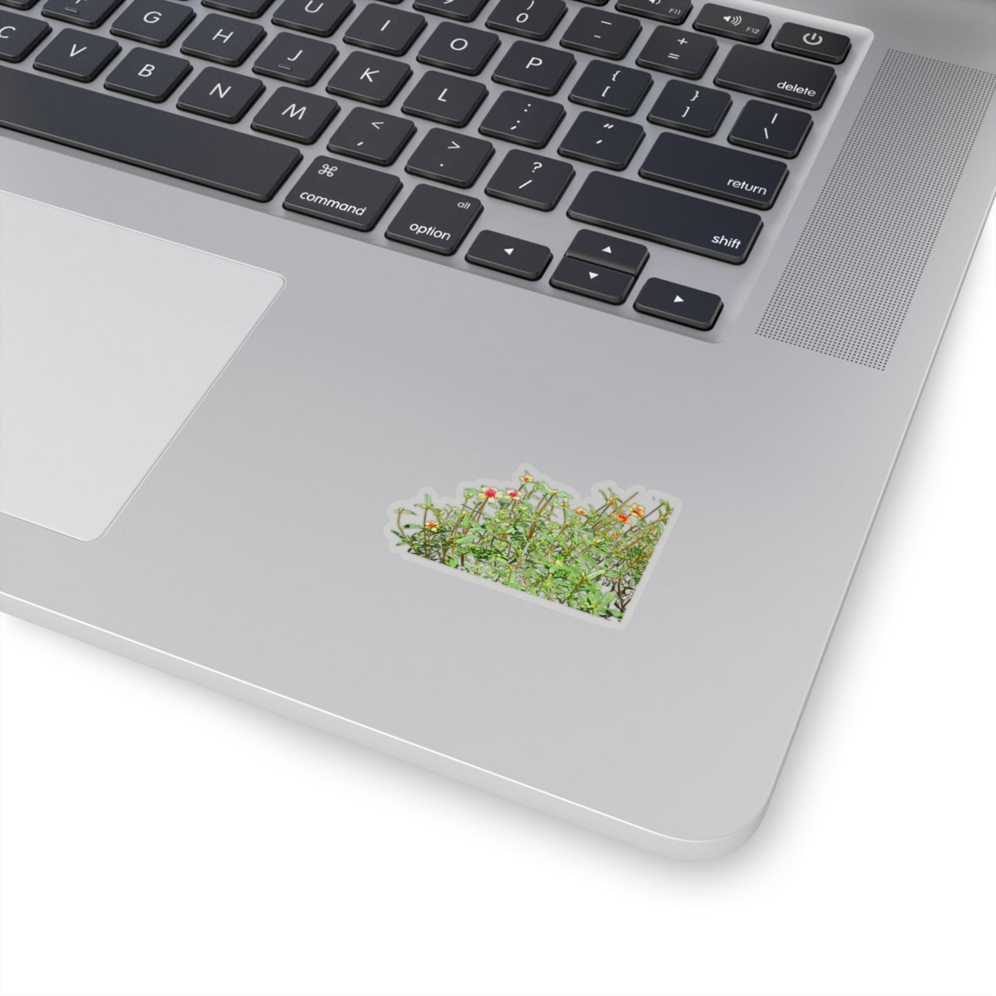 Purslane Stickers