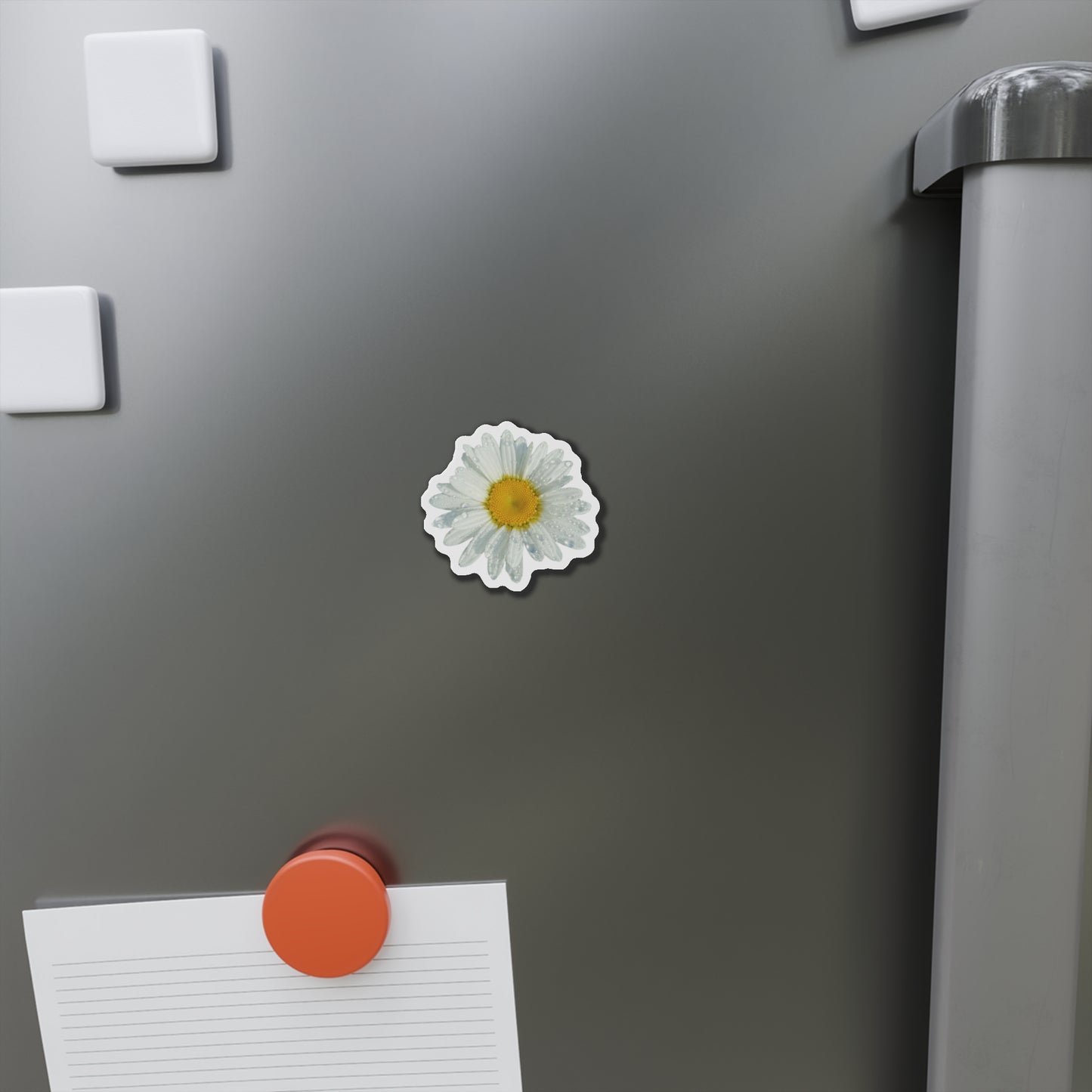 Daisy Magnets