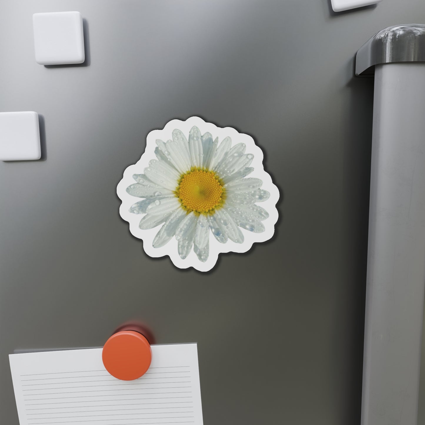 Daisy Magnets