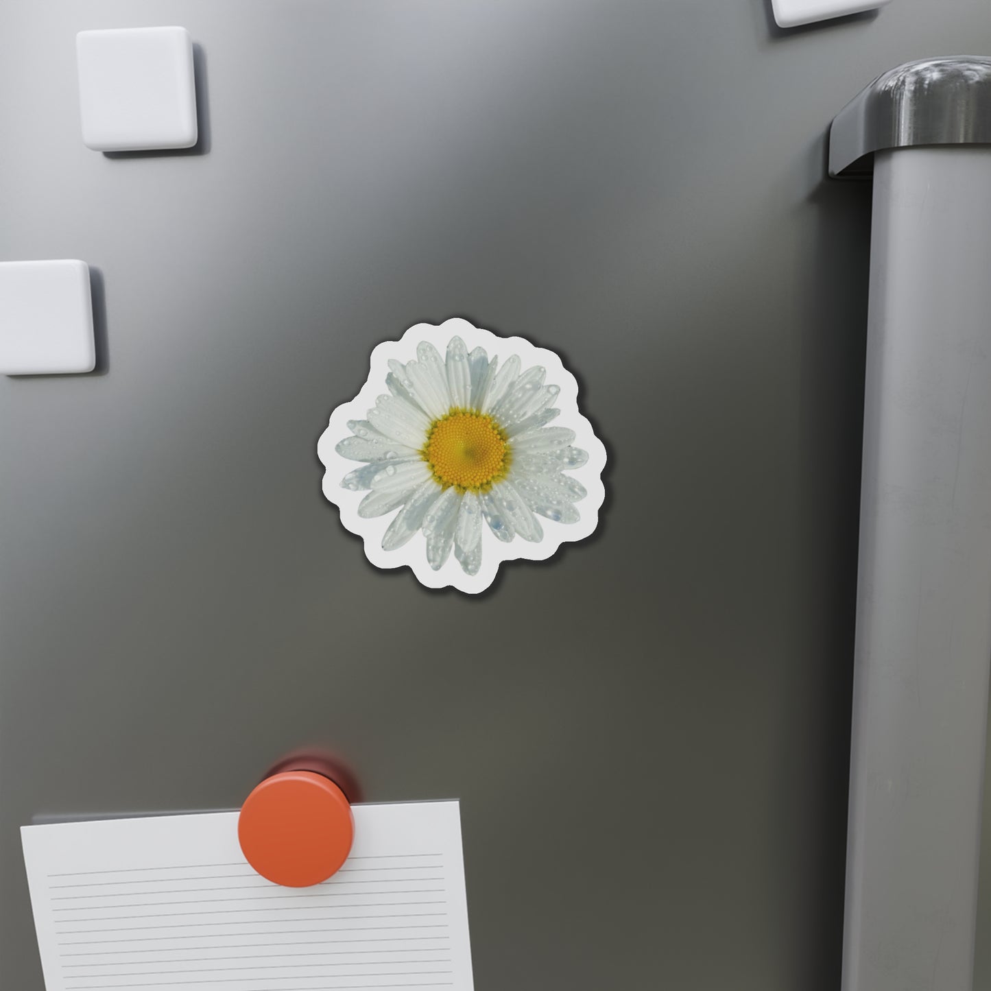 Daisy Magnets