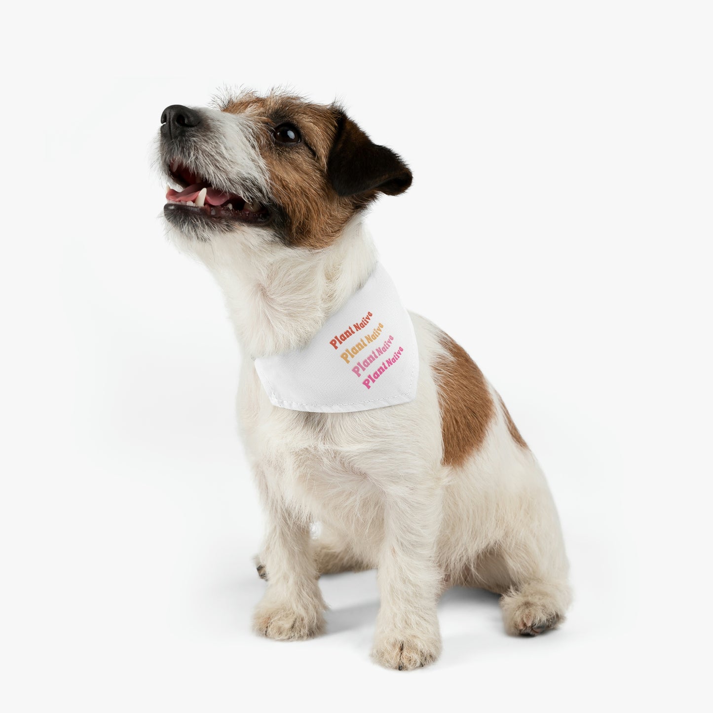 Plant Native Pet Bandana Collar