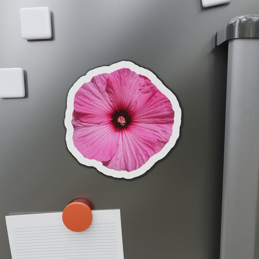 Hibiscus Magnets