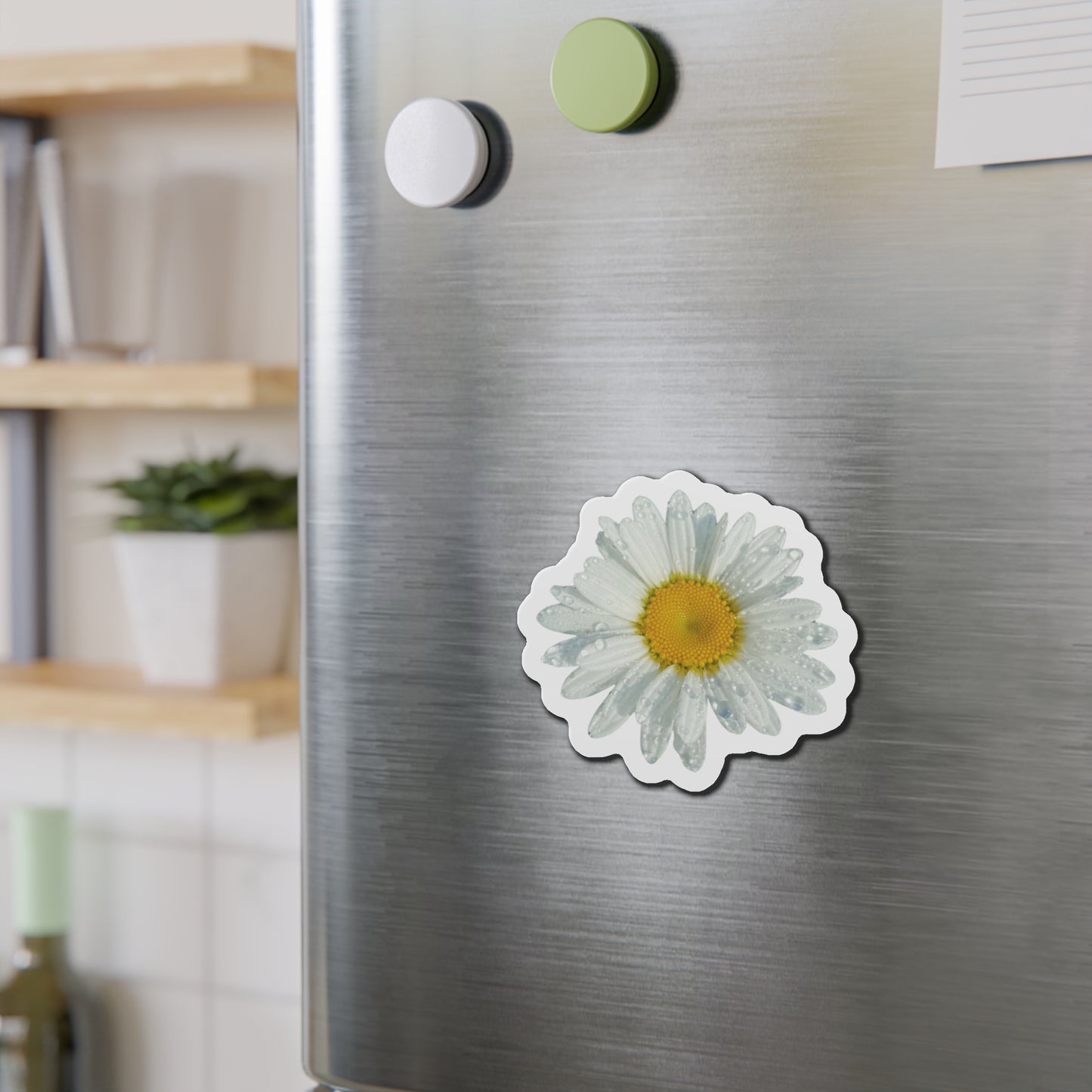 Daisy Magnets