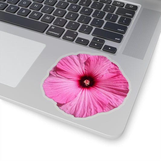 Hibiscus Stickers