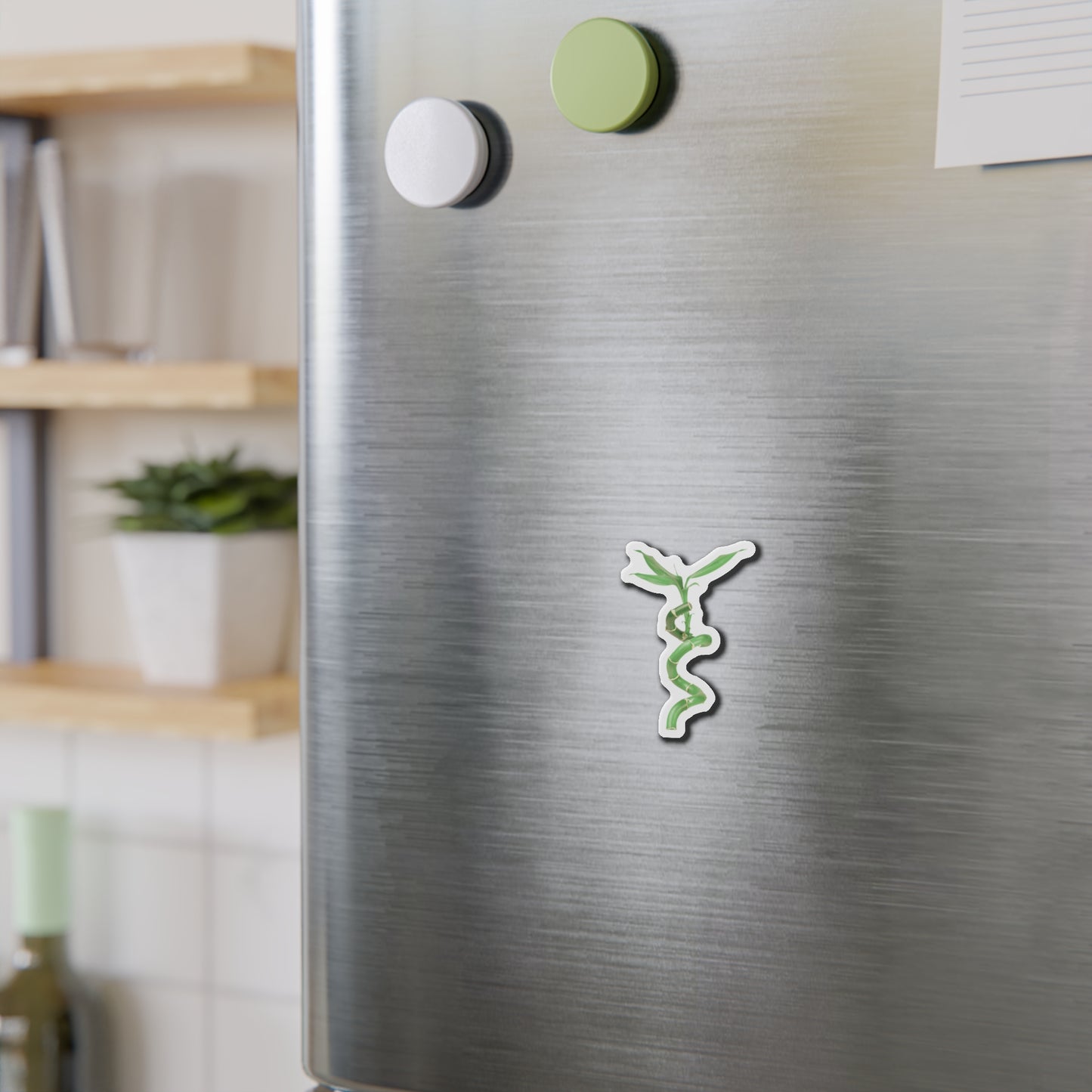 Bamboo Magnets