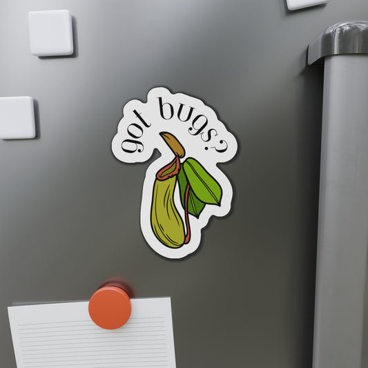 Got Bugs? Magnets