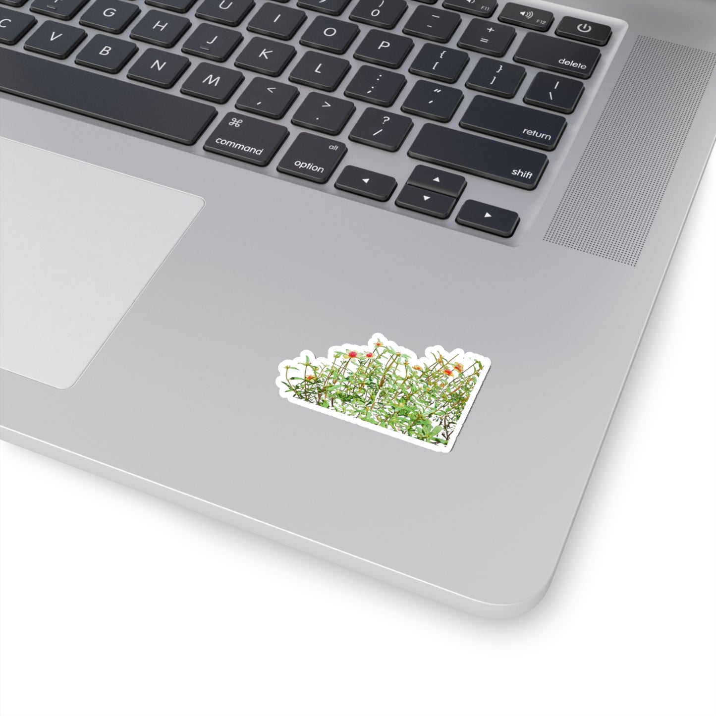 Purslane Stickers