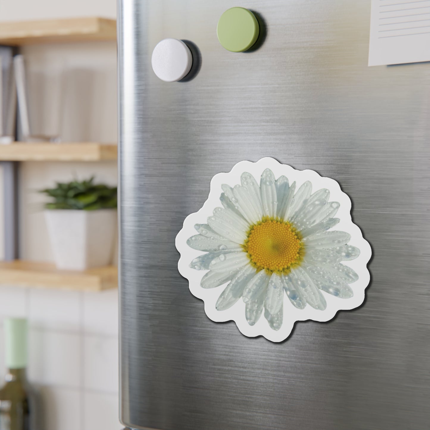 Daisy Magnets